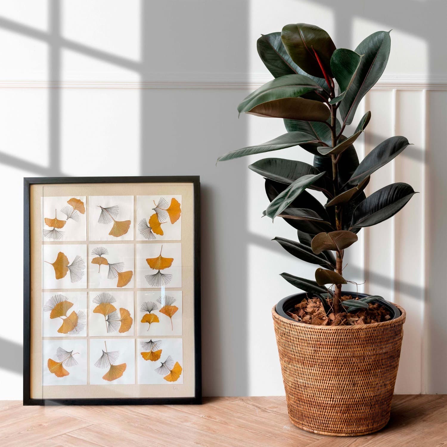 Ginkgo biloba bordado